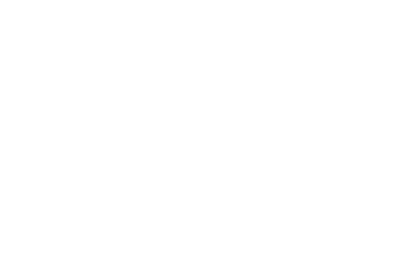 The Breath Coach